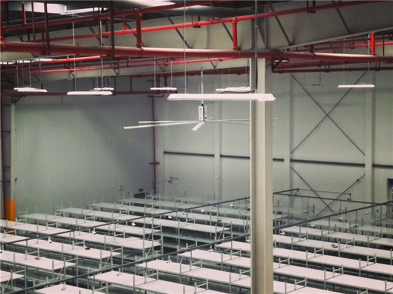 大風(fēng)扇工業(yè)供應(yīng)商/ 大風(fēng)扇工業(yè)供應(yīng)商